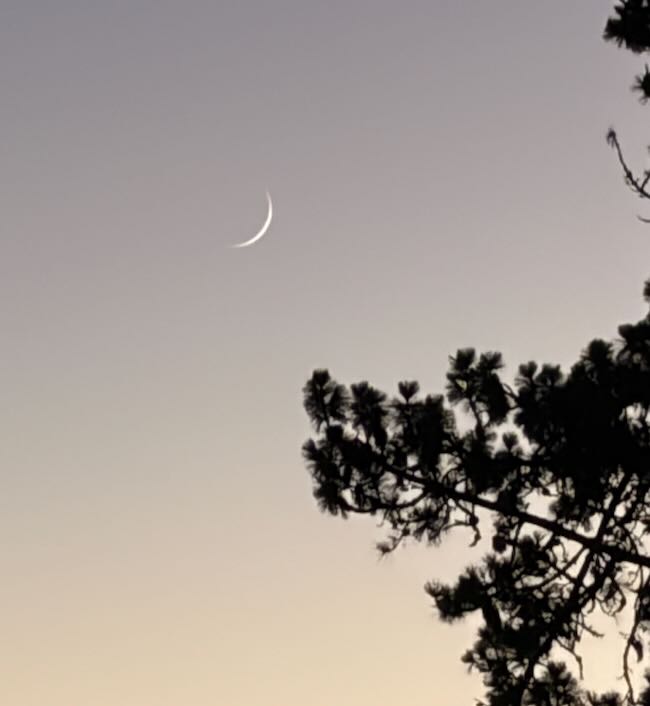 Angwin Moon
                  15Jul2026