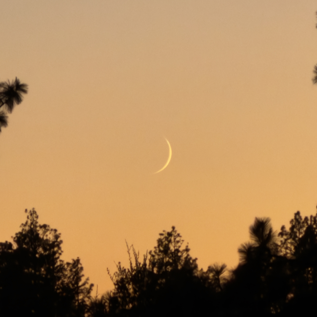 AngwinCal Moon
              12Oct2026