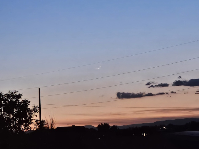 ColoradoMoon
                  15Jun26