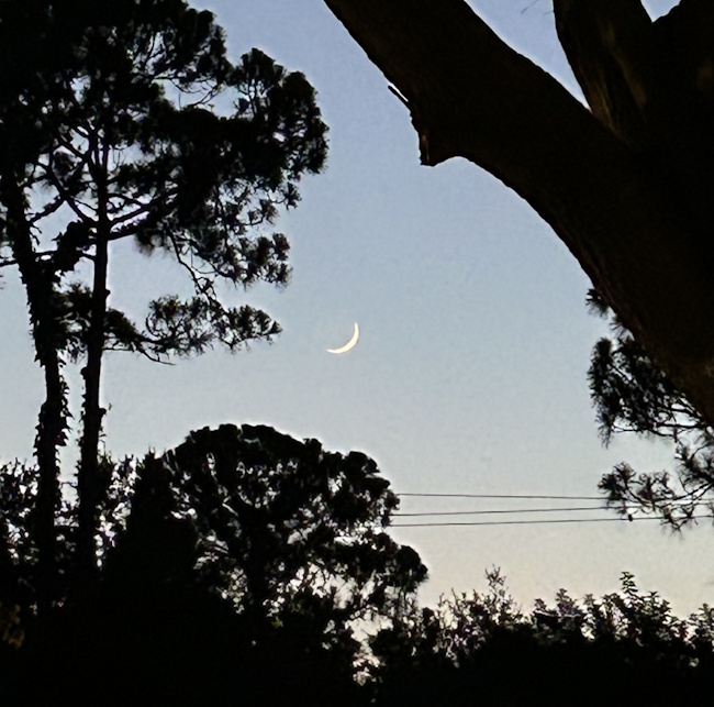 Florida2Moon_15Jul2026
