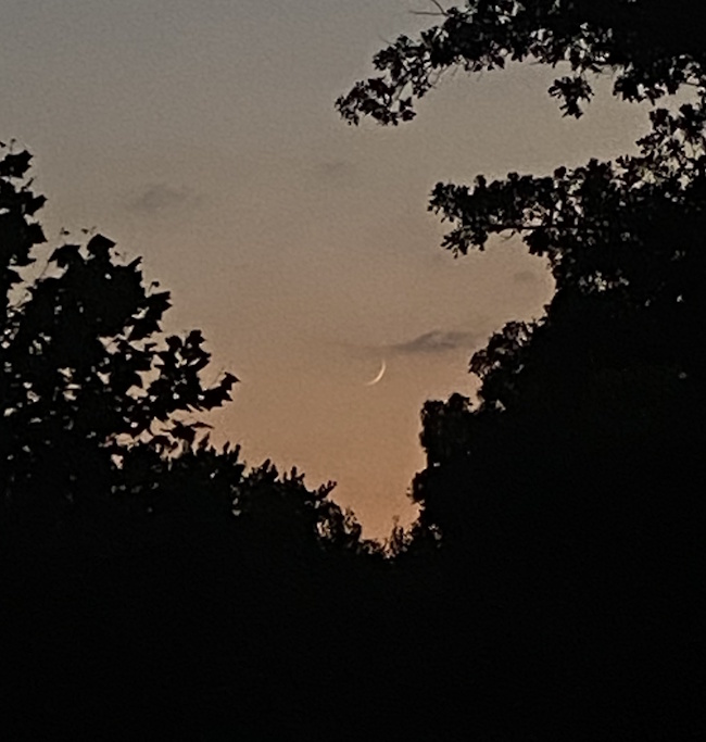 Missouri
                  Moon 15Jul2026